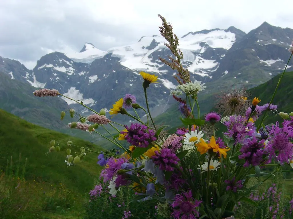 Chalet Les Lioues Apartment Sollieres-Sardieres France